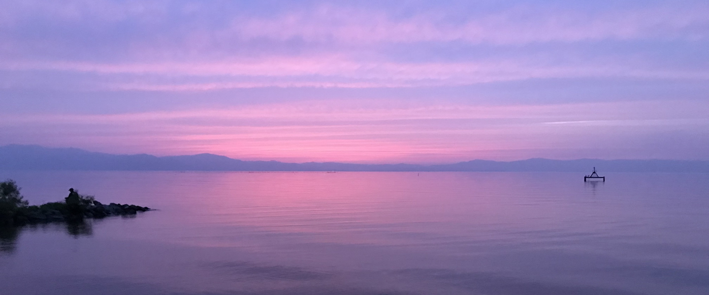 紫色の夕日が映える彦根市からの琵琶湖